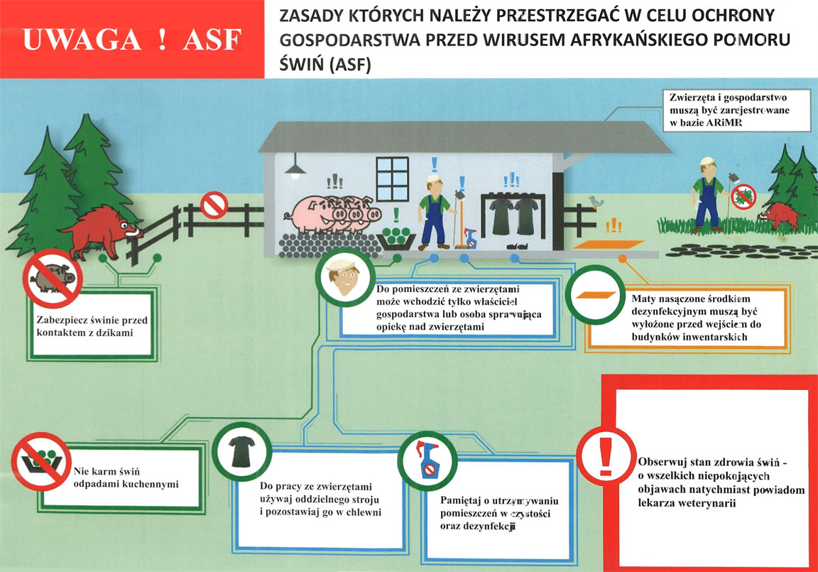 ulotka graficzna z zasadami, których należy przestrzegać w celu ochrony gospodarstwa przed wirusem afrykańskiego pomoru świń